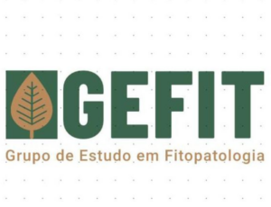 GEFIT