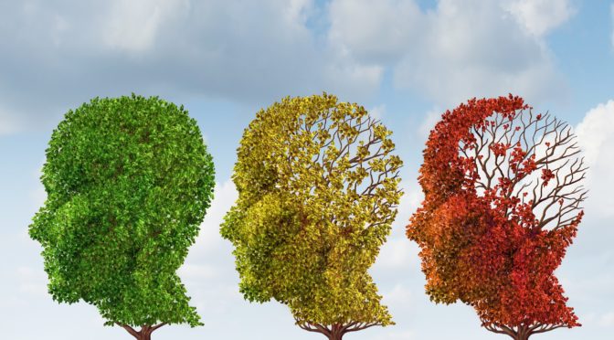 Curso “Cognição, envelhecimento e neurodegeneração: abordagens para a pesquisa básica”