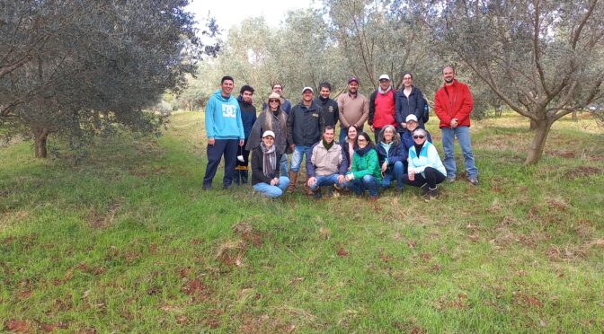 Atividade de extensão em fazenda que cultiva oliveiras
